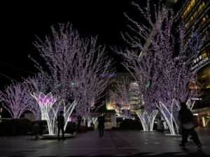 博多駅のイルミネーション　桜